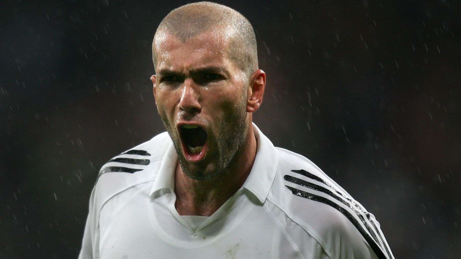 疑是力量与 疑是力量与